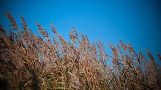 Nedjeljni đir do Parka prirode Vransko jezero i vidikovca Kamenjak, foto: Iva Perinčić Nedjeljni đir do Parka prirode Vransko jezero i vidikovca Kamenjak, foto: Iva Perinčić