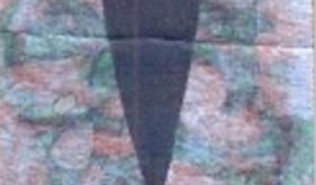 Jadertina Lifecrossings (foto: SD)