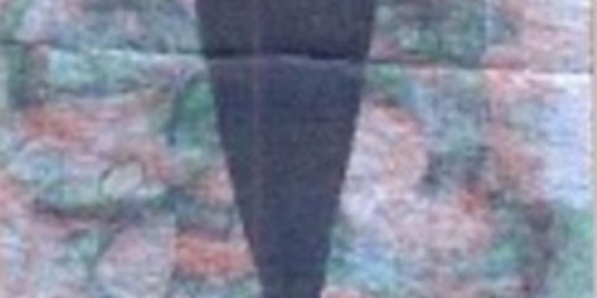 Jadertina Lifecrossings (foto: SD) Jadertina Lifecrossings (foto: SD)