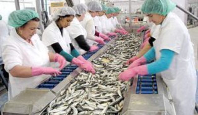 Mirna Rovinj, foto: www.jatrgovac.com