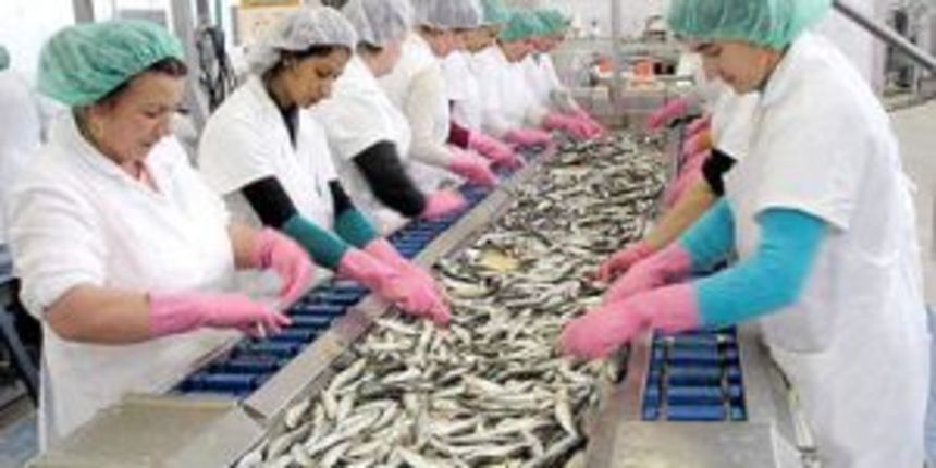 Mirna Rovinj, foto: www.jatrgovac.com Mirna Rovinj, foto: www.jatrgovac.com