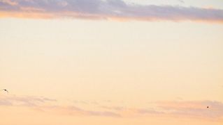 Večernji đir po rivi, 9. siječnja 2012. (foto:Saša Čuka)