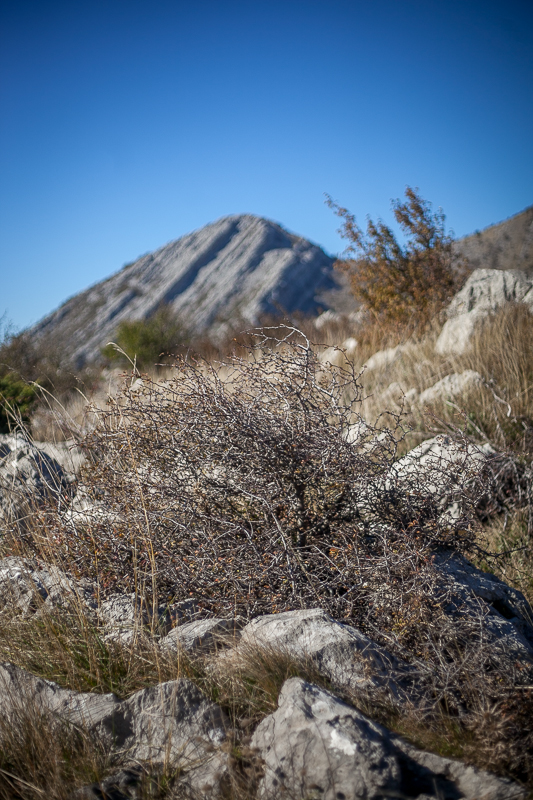 Izlet u Libinje, foto: Darko Belančić