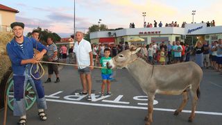 Trka Tovarov – 48. Memorijal Kenje Vijole Sukošan  Photo: Leo Banić