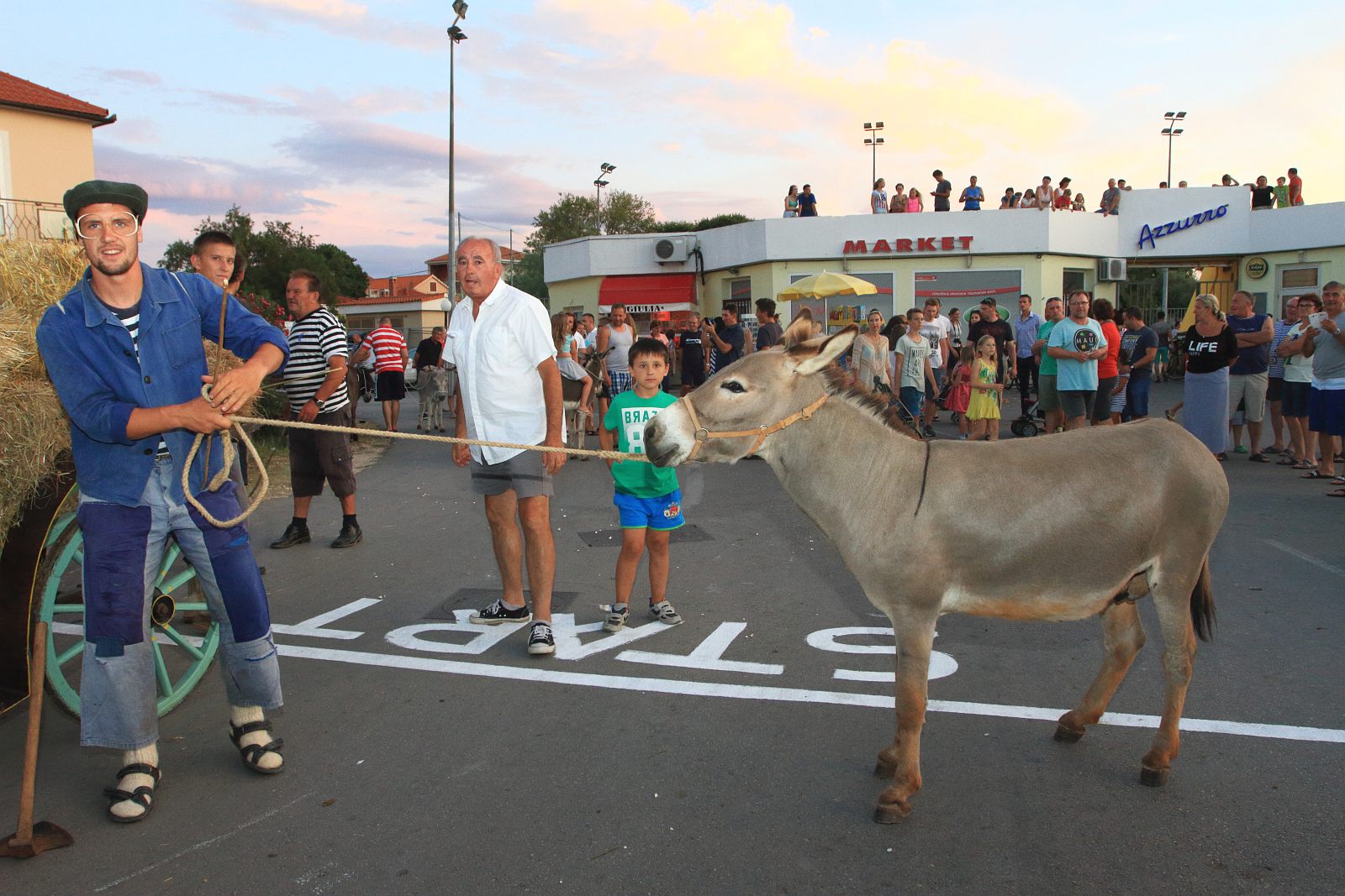 Trka Tovarov – 48. Memorijal Kenje Vijole Sukošan  Photo: Leo Banić