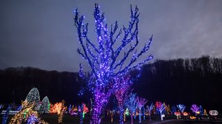 Još raskošnije izdanje: pogledajte kako izgleda Božićna priča obitelji Salaj gdje je ove godine zasjalo rekordnih 2.5 milijuna lampica