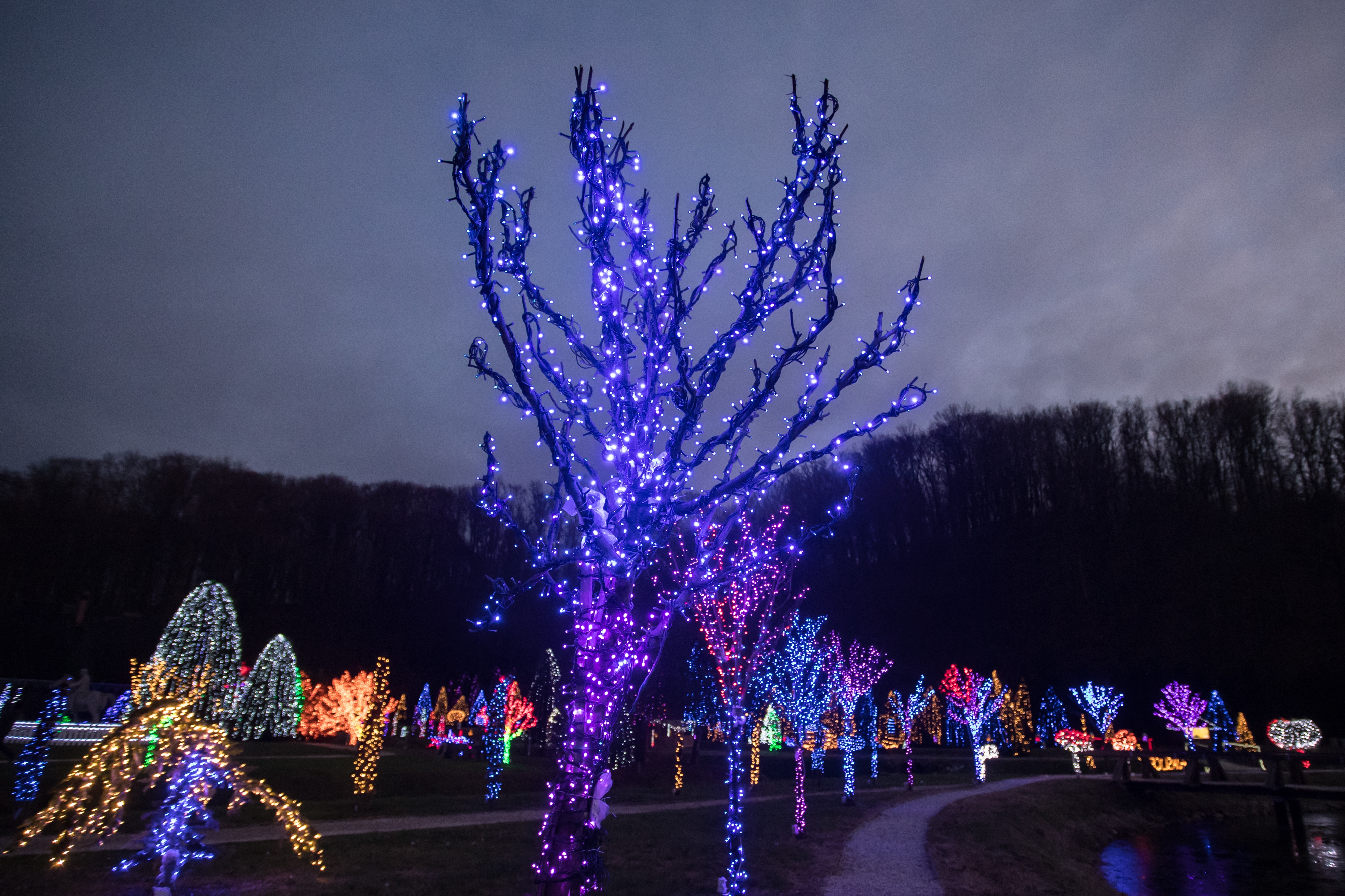 Još raskošnije izdanje: pogledajte kako izgleda Božićna priča obitelji Salaj gdje je ove godine zasjalo rekordnih 2.5 milijuna lampica