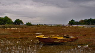 Krajolici zadarskog zaledja