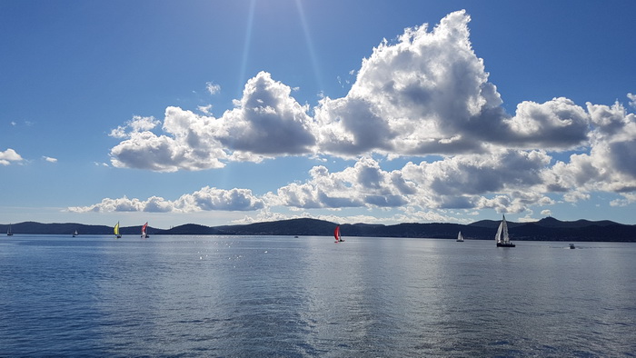 Zadarska Koka 2016. 22. listopada 2016. Foto: Mladen Malik Zadarska Koka 2016. 22. listopada 2016. Foto: Mladen Malik