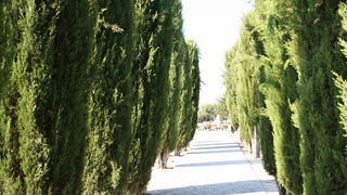 Blagdan Svih Svetih na groblju Belafuža 1. studenog 2011, Foto: Mladen Malik Blagdan Svih Svetih na groblju Belafuža 1. studenog 2011, Foto: Mladen Malik