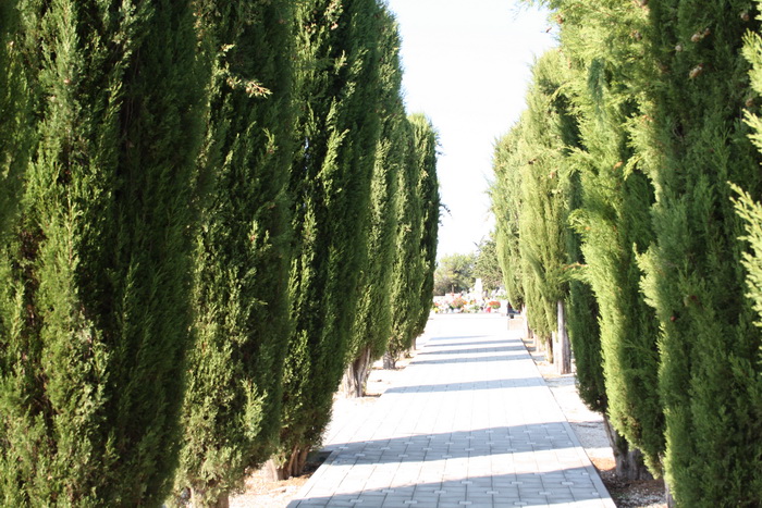 Blagdan Svih Svetih na groblju Belafuža 1. studenog 2011, Foto: Mladen Malik Blagdan Svih Svetih na groblju Belafuža 1. studenog 2011, Foto: Mladen Malik