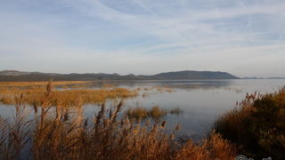 Đir uz Vransko jezero, Foto: Iva Perinić Đir uz Vransko jezero, Foto: Iva Perinić