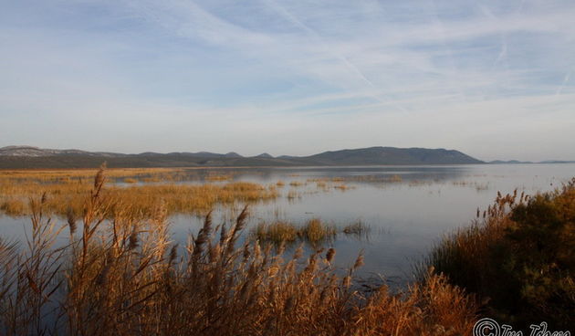 Đir uz Vransko jezero, Foto: Iva Perinić
