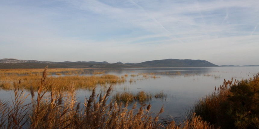 Đir uz Vransko jezero, Foto: Iva Perinić Đir uz Vransko jezero, Foto: Iva Perinić