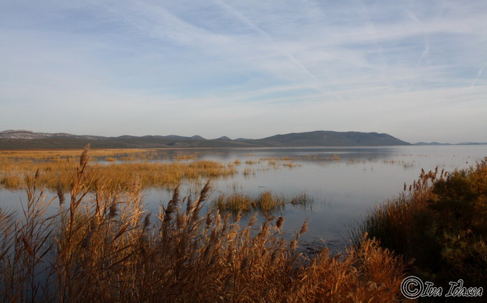 Đir uz Vransko jezero, Foto: Iva Perinić Đir uz Vransko jezero, Foto: Iva Perinić