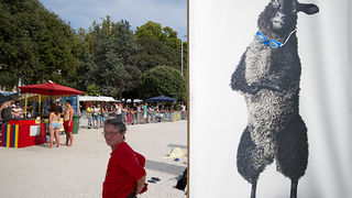 dm millennium jump sa zadarske rive, Foto: Leo Banić dm millennium jump sa zadarske rive, Foto: Leo Banić