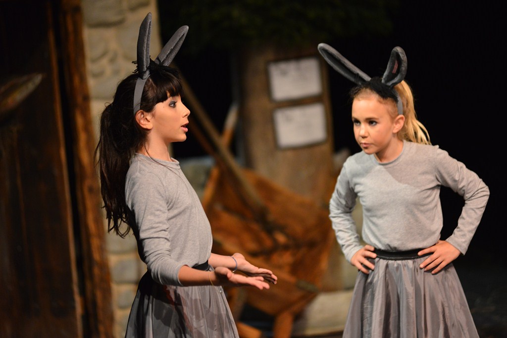 Donatolina u Kazalištu lutaka: “Mareta tamo i nazad”