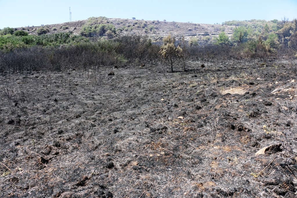 Vir: Požar u Lozicama u potpunosti ugašen Vir: Požar u Lozicama u potpunosti ugašen