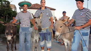 Sukosan: 40. Trka tovarov “Memorijal kenje Vijole” i 6. Noc svicarenja 8. kolovoza 2010. Sukosan: 40. Trka tovarov “Memorijal kenje Vijole” i 6. Noc svicarenja 8. kolovoza 2010.