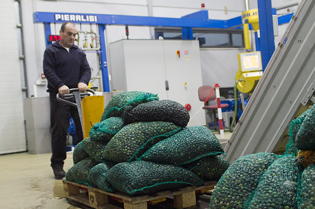 Večer u uljari, Foto: Leo Banić