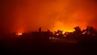 Vatrogasci gase pozar u Policima, Foto: Zdenko Knezevic