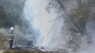 Veliki požar kod Ražanca uz vatrogasce gasili kanader i air tractor