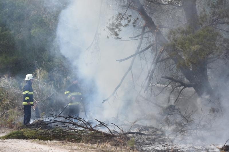 Veliki požar kod Ražanca uz vatrogasce gasili kanader i air tractor
