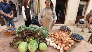 Film se snima u promidžbene svrhe