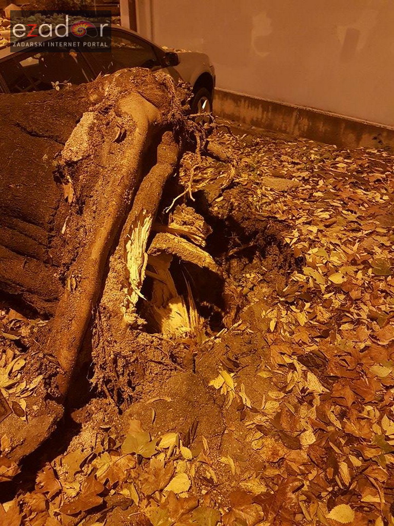 Jak vjetar srušio stablo na parkirane automobile kod OŠ Petar Preradović na Poluotoku