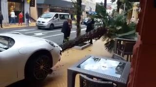 Porsche ”parkirao” na palmu pred jednim opatijskim hotelom (thumbnail)