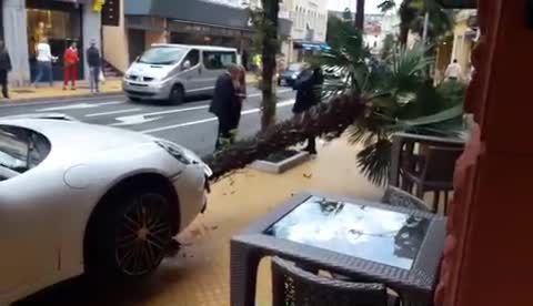 Porsche ”parkirao” na palmu pred jednim opatijskim hotelom (thumbnail)