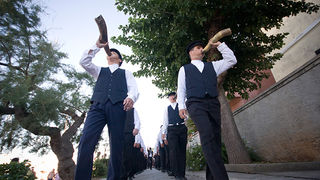 51. Saljske užance, 8. kolovoza 2010. (foto:Saša Čuka)