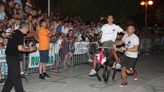 10. međunarodna trka tovarov Tisno 2015