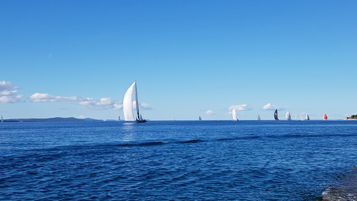 Zadarska Koka 2016. 22. listopada 2016. Foto: Mladen Malik Zadarska Koka 2016. 22. listopada 2016. Foto: Mladen Malik