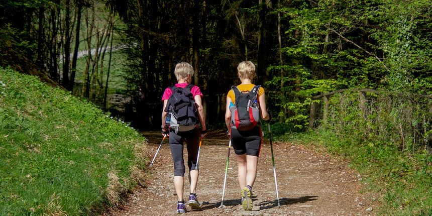 Prvi festivall hodanja, hodanje Prvi festivall hodanja, hodanje