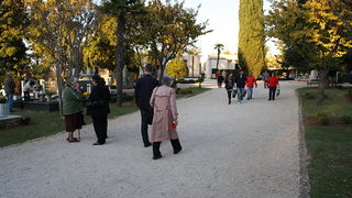 Gradsko groblje u Zadru u susret blagdanu Svih svetih