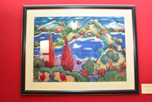 Svečano otvorena izložba slika fra Petra Perice Vidića