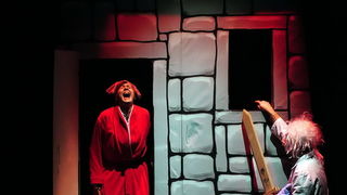 Plesna udruga Gesta: Karnevalski vremeplov, Foto: Zeljko Karavida