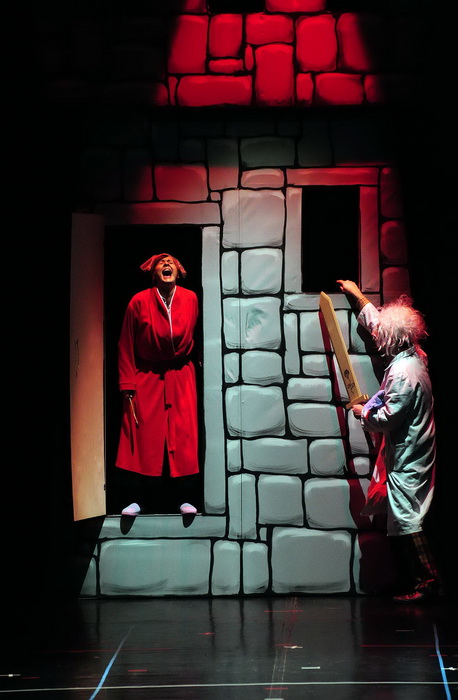 Plesna udruga Gesta: Karnevalski vremeplov, Foto: Zeljko Karavida