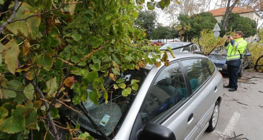 Stablo oštetilo dva automobila na Poluotoku