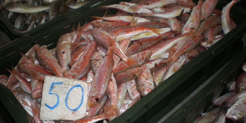 Ribarnica na Veliki petak Ribarnica na Veliki petak