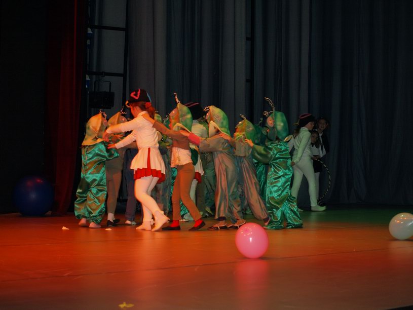 Plesno kazalisna udruga Zalet