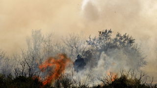 Zadar, 270810
Veliki pozar izbio je danas popodne u Zadru na podrucju izmedju kvarta Bili brig i put Bokanjca. Vatrogasci su i dalje na terenu te se bore sa vatrom da ne dodje do obliznjih kuca.
Foto: Jure Miskovic / CROPIX