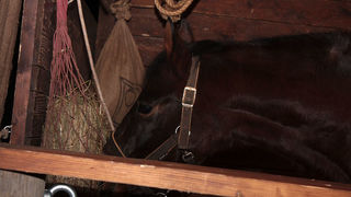 The Jack’s Christmas party @ Hitch bar, Foto: Lucija Juravić