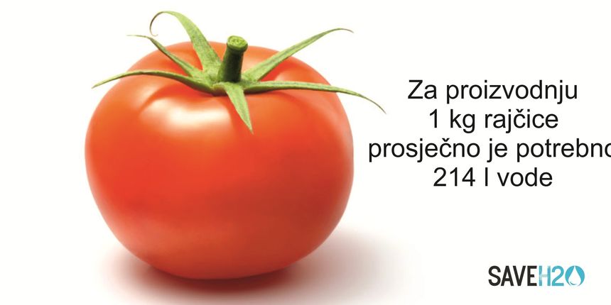 Projekt Save H2O Projekt Save H2O