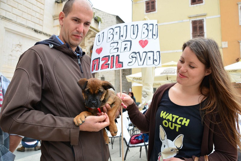 Skup podrške za NO KILL skloništa za životinje,  foto Iva Perinčić
