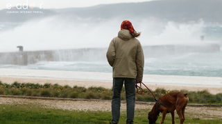 Đir po gradu, ponedjeljak 28. prosinca 2020. Đir po gradu, ponedjeljak 28. prosinca 2020.