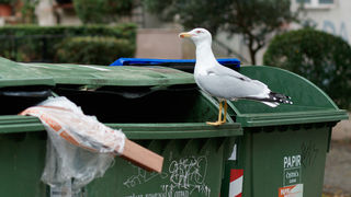 Đir po gradu, 4. studenog 2022. Đir po gradu, 4. studenog 2022.