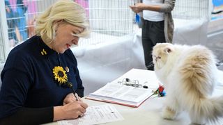 Međunarodna izložba mačaka