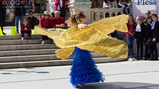 Đir po gradu 29. travnja 2017.